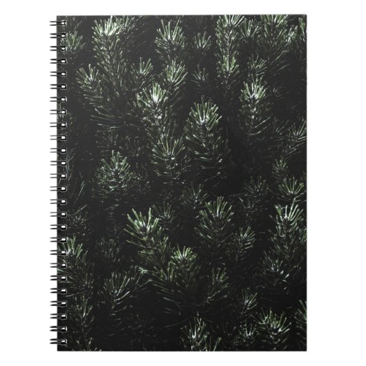 Carnet Photo du plante de sapin vert (Devant)