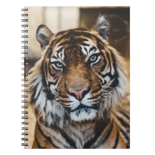 CARNET PHOTO DU VISAGE DE TIGER (Devant)