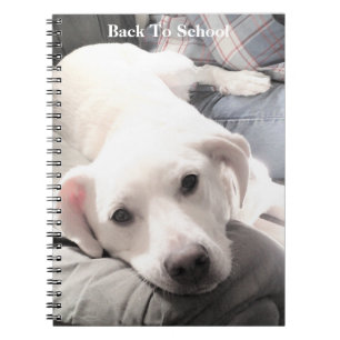 Carnet Photo d'un chien fatigué mignon avec papa sur le c