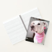 Carnet Photo d'un mignon chiot blanc portant une écharpe  (Intérieur)