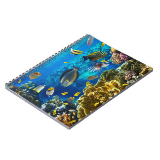 Carnet Photo d'un poisson tropical sur un récif coralien