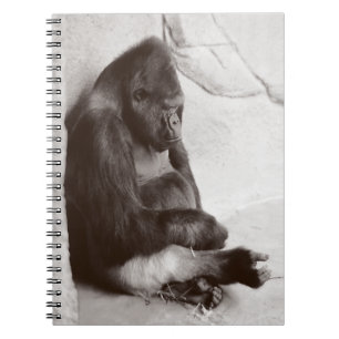 Carnet Photo faisante une sieste de gorille