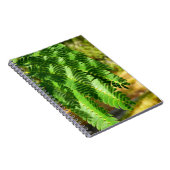 Carnet photo Feuille de l'Arbre de Soie Perse (Côté Droit)