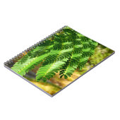 Carnet photo Feuille de l'Arbre de Soie Perse (Côté gauche)