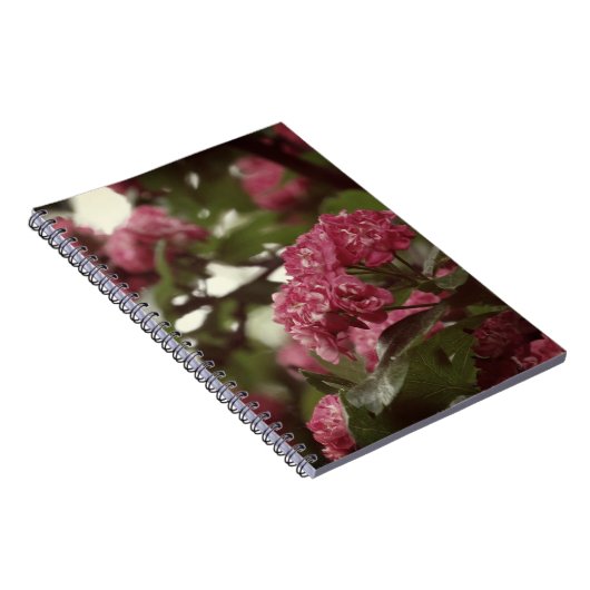Carnet photo Fleurs roses (80 Pages B&W) (Côté Droit)