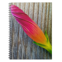 "Photo floral