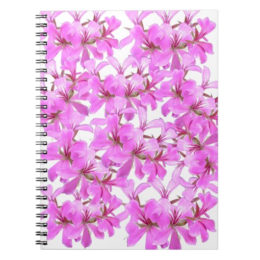 Carnet photo floral rose (Devant)