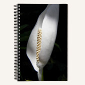 Carnet Photo Florale White Peace Lily (Recto)
