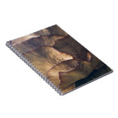 Carnet Photo focale sélective du champignon (Côté Droit)