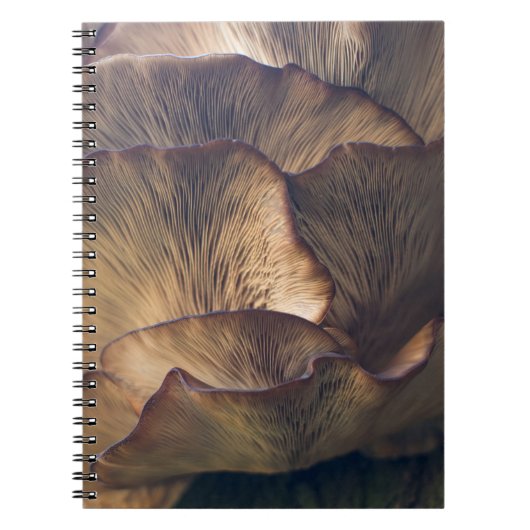 Carnet Photo focale sélective du champignon (Devant)