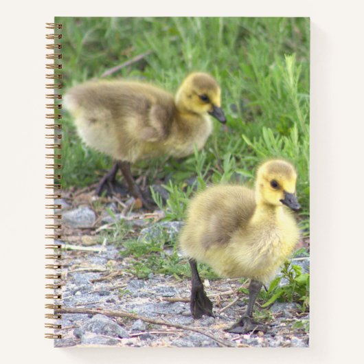 Carnet photo Goslings (Devant)