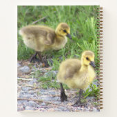 Carnet photo Goslings (Dos)