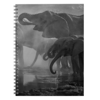 CARNET PHOTO GRAYSCALE D'ÉLÉPHANTS EN EAU POTABLE