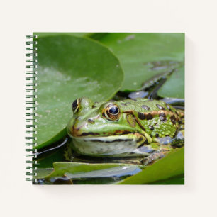 Carnet Photo Grenouille Green Lily Pad
