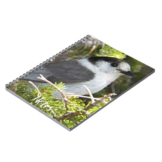 Carnet Photo gris et blanc Canada Jay (Côté gauche)