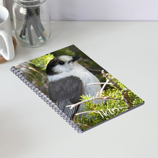 Carnet Photo gris et blanc Canada Jay