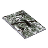 Carnet Photo hivernale sous le pin couvert de neige (Côté Droit)