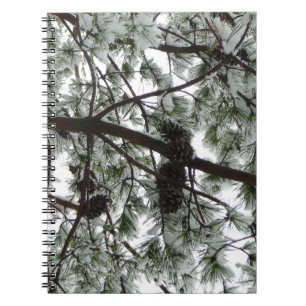 Carnet Photo hivernale sous le pin couvert de neige