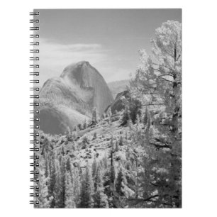 Carnet Photo infrarouge du côté est du parc national de Y