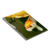 Carnet photo Koi Carp (Côté Droit)