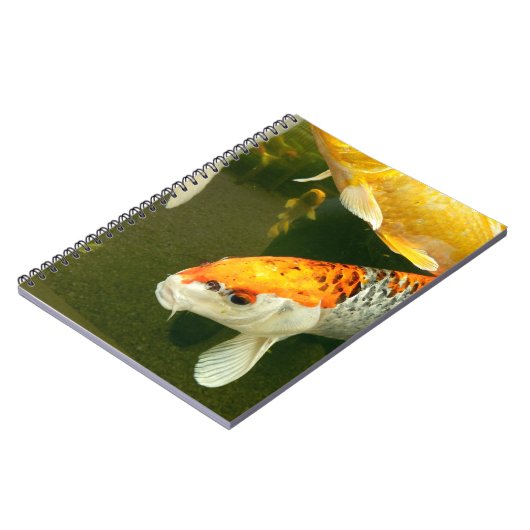 Carnet photo Koi Carp (Côté gauche)