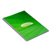 Carnet photo Lily Pad (Côté Droit)