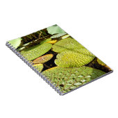 Carnet photo Lily Pads (Côté Droit)