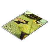 Carnet photo Lily Pads (Côté gauche)