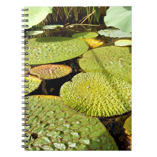 Carnet photo Lily Pads (Devant)