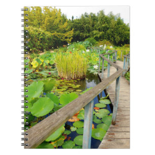Carnet photo Lily Pond