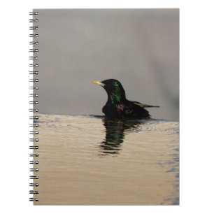Carnet photo Little Bird on Water Spiral