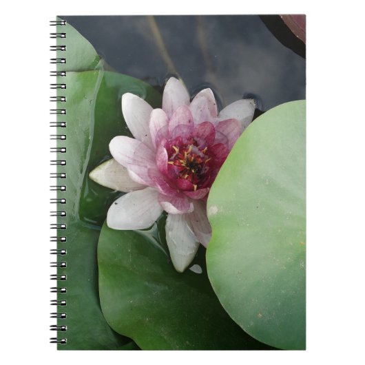Carnet photo Lotus Flower (Devant)