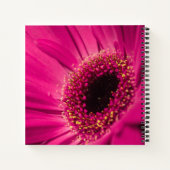 Carnet Photo, macro (Dos)