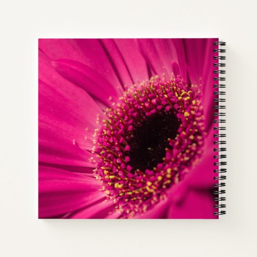 Carnet Photo, macro (Dos)