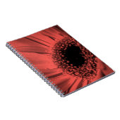 Carnet Photo, macro (Côté Droit)