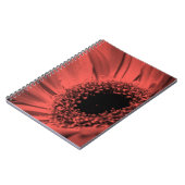 Carnet Photo, macro (Côté gauche)