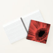 Carnet Photo, macro (Intérieur)