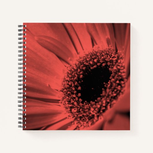 Carnet Photo, macro (Devant)