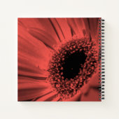 Carnet Photo, macro (Dos)