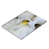 Carnet Photo macro d'Iris à barbe blanche (Côté gauche)
