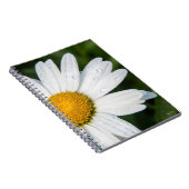 carnet photo marguerite (Côté Droit)