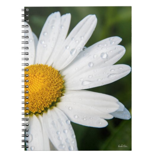 carnet photo marguerite (Devant)