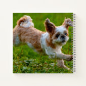 Carnet Photo mignonne tournant Chien Shih Tzu (Dos)