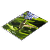 Carnet Photo nature colibri et fleurs (Côté gauche)