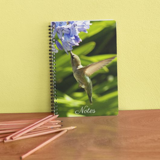 Carnet Photo nature colibri et fleurs