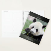 Carnet Photo panda géant, animaux 01. carnet (Devant avec enveloppe)