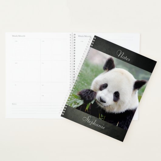 Carnet Photo panda géant, animaux 01. carnet (Devant avec enveloppe)