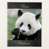 Carnet Photo panda géant, animaux 01. carnet (Devant)