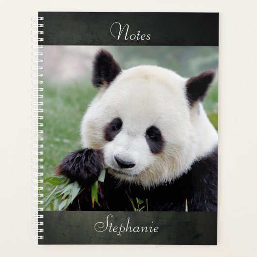 Carnet Photo panda géant, animaux 01. carnet (Devant)