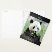 Carnet Photo panda géant, animaux 02. carnet (Devant avec enveloppe)